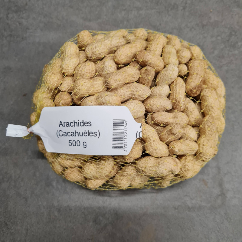 Plant semence arachide cacahuète - La Bonne Graine