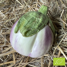 Aubergine Rosa Bianca Bio