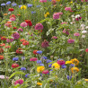 Jachère Campagne en Fleurs