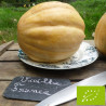 Melon Vieille France Bio