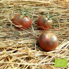 Tomate Black Cherry Bio