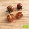 Tomate Black Cherry Bio