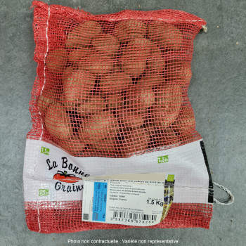 Pomme de terre Aubaine BIO