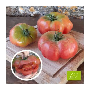 Tomate Montserrat Bio