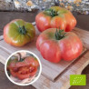 Tomate Montserrat Bio