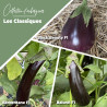 Collection d'aubergines "Les classiques"