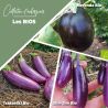 Collection d'aubergines Bio (x3)