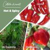 Collection de Piments "Hot & Spicy" (x3)