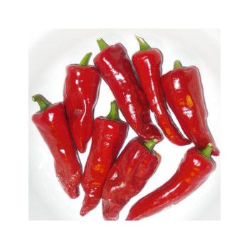 piment gorria