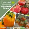 Collection de Tomates "Old School & Natural" (x3)