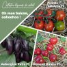 Collection de 3 plants potagers "Oh, mon balcon, oohoohoo !"