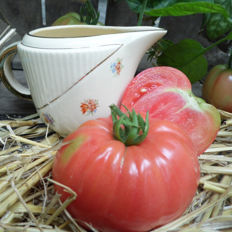 Graine de tomate cœur de bœuf - Germigarden