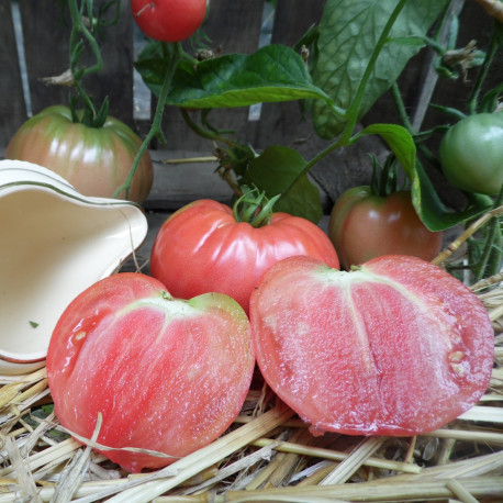 Graines de tomate coeur de boeuf rouge bio - Je plante ma graine