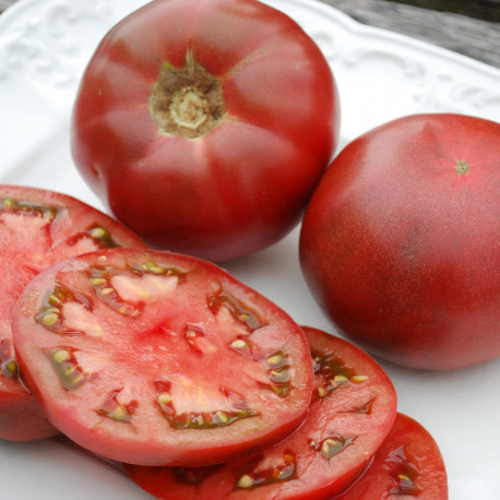 Graine de tomate Cherokee - Germigarden