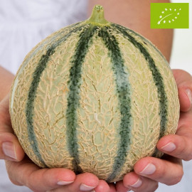 Melon Candilo F1 Bio