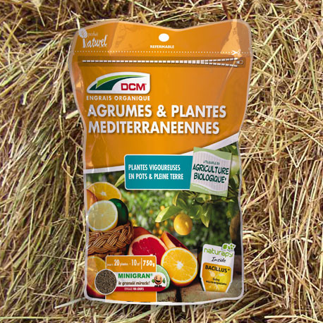CULTIVERS Engrais naturel pour agrumes 20 kg. Engrais 100% organique pour  citronnier, oranger, etc. Rendement plus élevé et grosseur des fruit