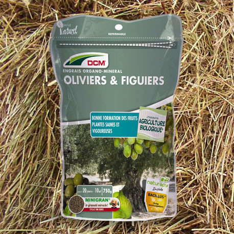 Florissa Engrais Organique pour Plantes Vertes, 1 L - Bloomling France