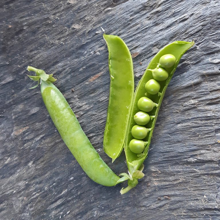 gousses et grains de petits pois