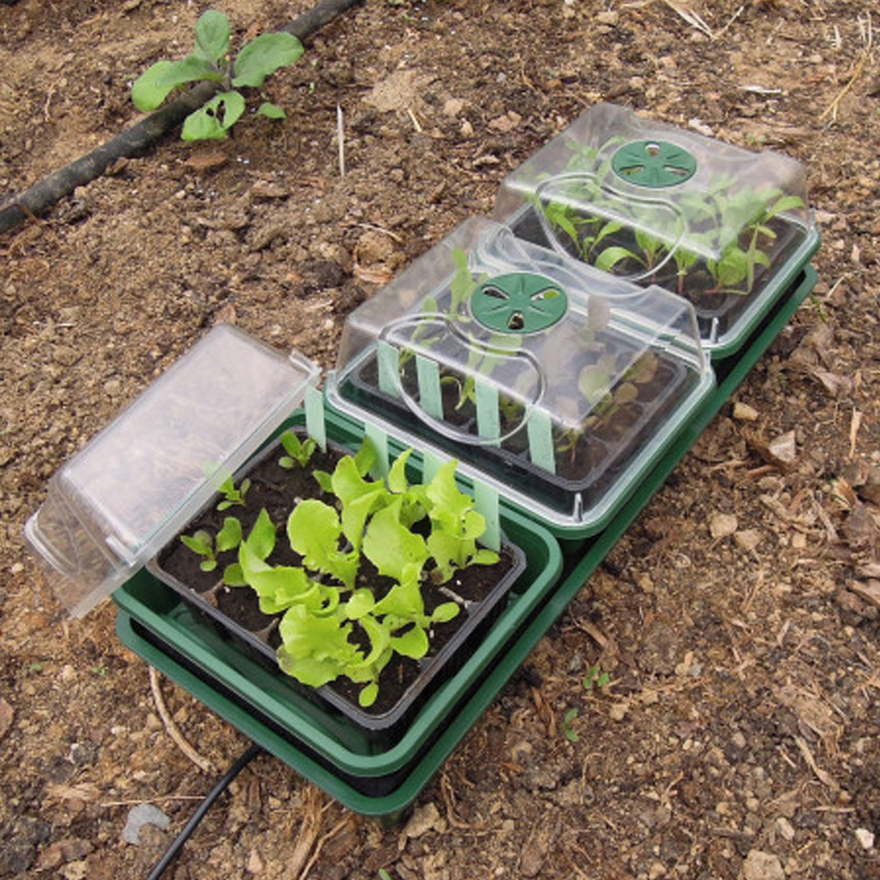 Serre de semis chauffante pour légumes