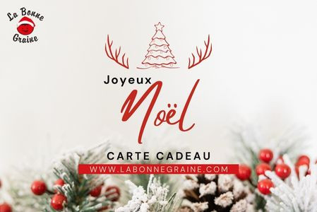 Carte cadeau pour Noël