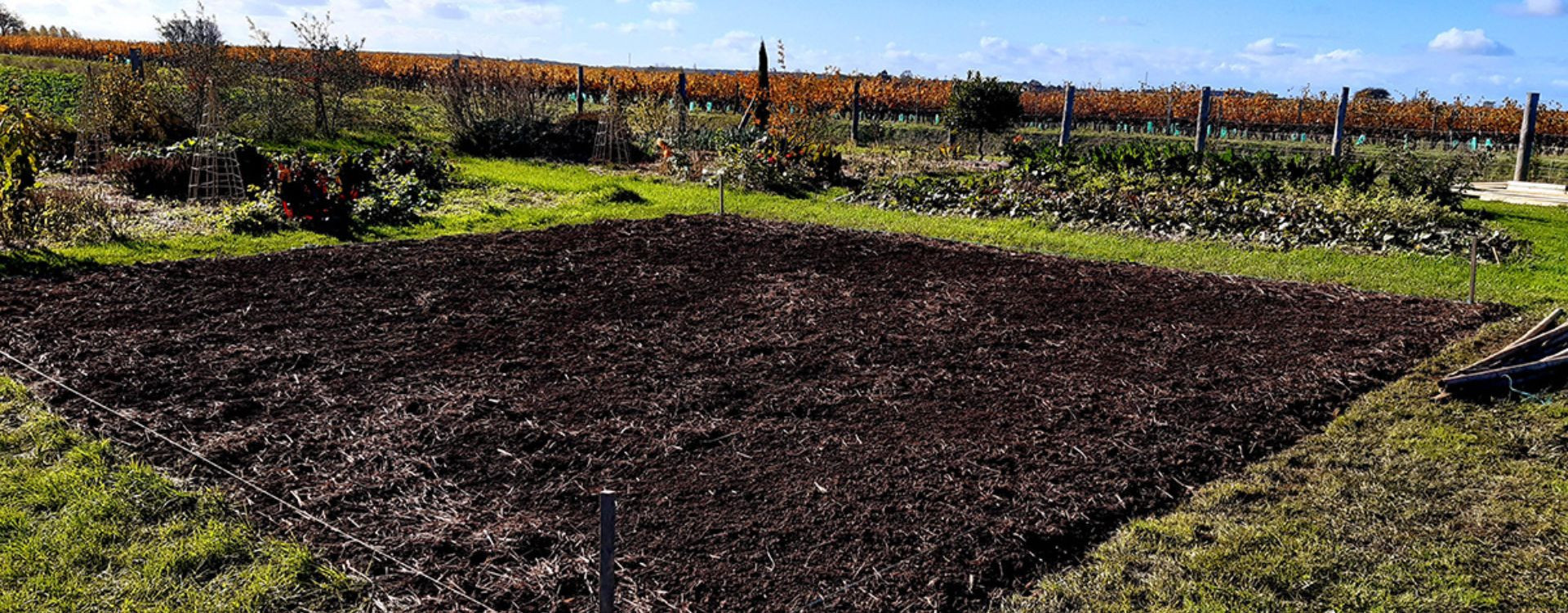 Préparer le sol de son futur potager en automne