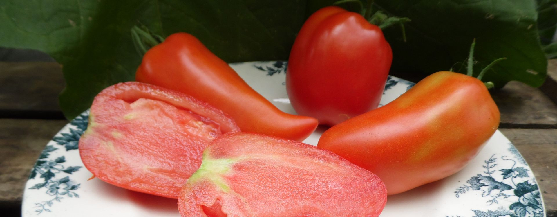 Variétés de tomates anciennes : sélection des meilleures graines